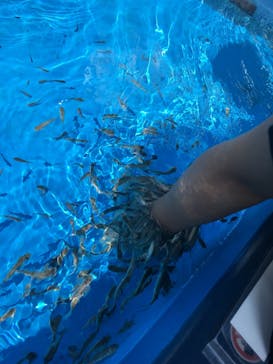 サンシャイン水族館に投稿された画像（2019/10/7）