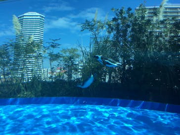 サンシャイン水族館に投稿された画像（2019/10/7）