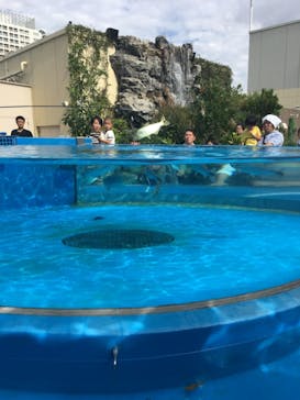 サンシャイン水族館に投稿された画像（2019/10/7）