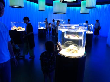 NIFREL（ニフレル）に投稿された画像（2019/10/8）