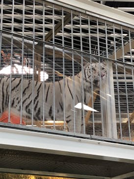 NIFREL（ニフレル）に投稿された画像（2019/10/8）