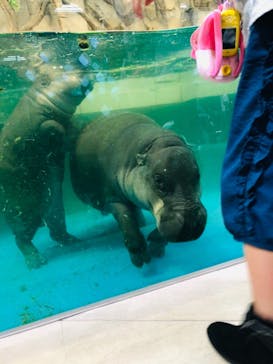 NIFREL（ニフレル）に投稿された画像（2019/10/8）