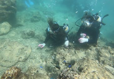 武藤潜水に投稿された画像（2019/10/8）