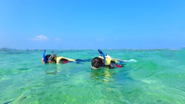 diving&workshop IHANASHI（ダイビングアンドワークショップイハナシ）に投稿された画像（2019/10/8）