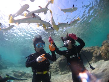 ドロップイン 沖縄に投稿された画像（2019/10/8）