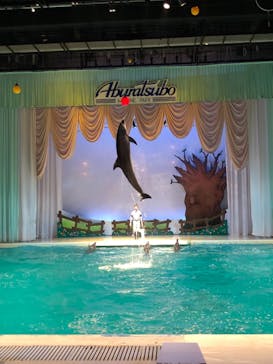 京急油壺マリンパークに投稿された画像（2019/10/8）