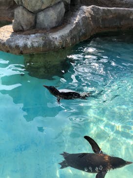 京急油壺マリンパークに投稿された画像（2019/10/8）