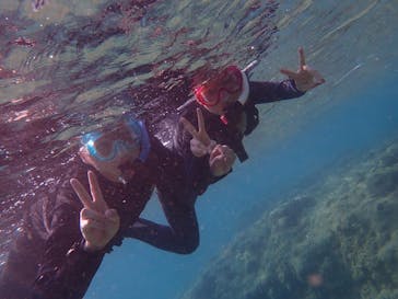 ダイビングショップ Sea Free（シーフリー）に投稿された画像（2019/10/8）