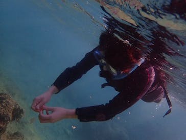 ダイビングショップ Sea Free（シーフリー）に投稿された画像（2019/10/8）