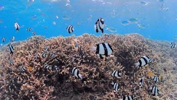 アクアドロップに投稿された画像（2019/10/7）