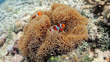 アクアドロップに投稿された画像（2019/10/7）