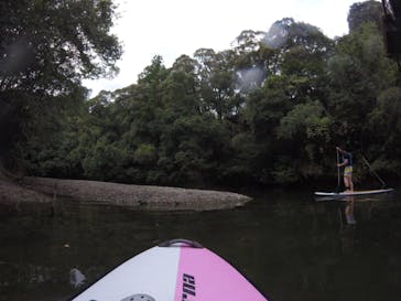 Verde Odai（ベルデオオダイ）に投稿された画像（2019/10/8）