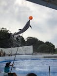 九十九島水族館海きららに投稿された画像（2019/10/9）