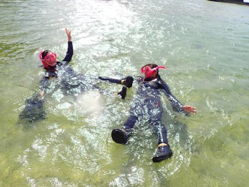 ダイビングショップ Sea Free（シーフリー）に投稿された画像（2019/10/9）