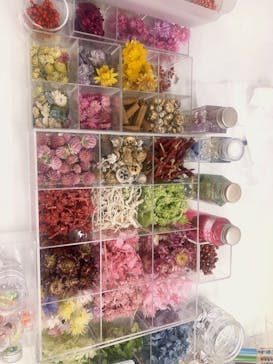 ずこうしつ〜sugamo〜に投稿された画像（2019/10/9）