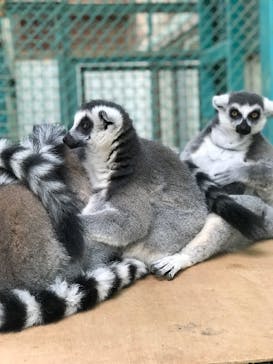 東北サファリパークに投稿された画像（2019/10/9）