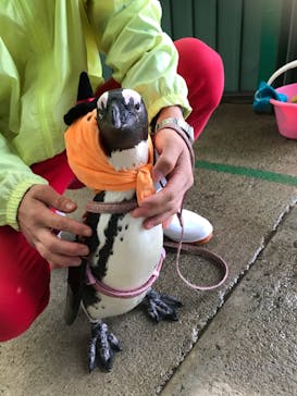 東北サファリパークに投稿された画像（2019/10/9）