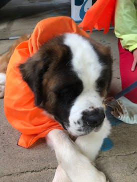 東北サファリパークに投稿された画像（2019/10/9）