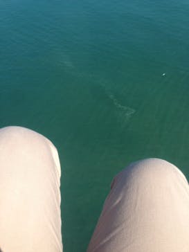 松島熱気球・パラグライダー体験に投稿された画像（2019/10/10）