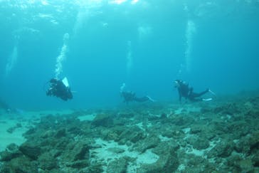 屋久島ガイドクラブに投稿された画像（2019/10/10）