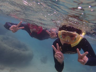 ダイビングショップ Sea Free（シーフリー）に投稿された画像（2019/10/11）