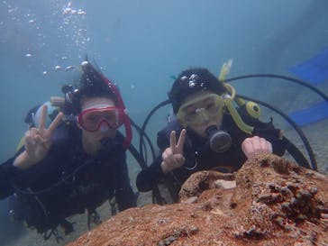 ダイビングショップ Sea Free（シーフリー）に投稿された画像（2019/10/11）