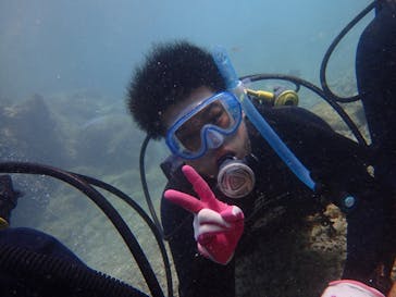 ダイビングショップ Sea Free（シーフリー）に投稿された画像（2019/10/12）