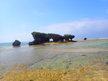 ダイビングショップ Sea Free（シーフリー）に投稿された画像（2019/10/12）
