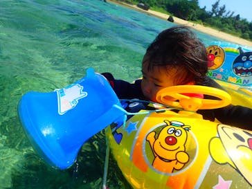 ダイビングショップ Sea Free（シーフリー）に投稿された画像（2019/10/12）