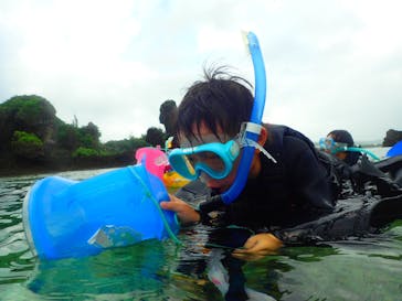 ダイビングショップ Sea Free（シーフリー）に投稿された画像（2019/10/14）