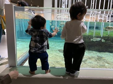 NIFREL（ニフレル）に投稿された画像（2019/10/15）