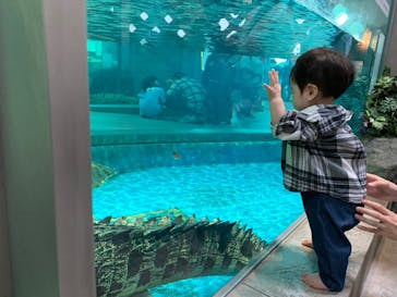 NIFREL（ニフレル）に投稿された画像（2019/10/15）