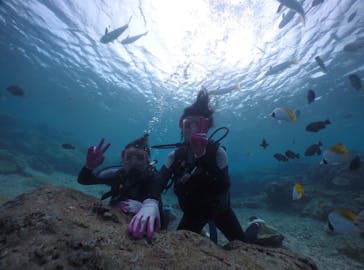 武藤潜水に投稿された画像（2019/10/15）