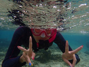 ダイビングショップ Sea Free（シーフリー）に投稿された画像（2019/10/15）