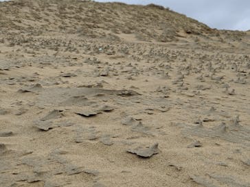 TRAIL ON（トレイル オン）に投稿された画像（2019/10/15）