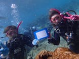 ダイビングショップ Sea Free（シーフリー）に投稿された画像（2019/10/16）