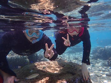 ダイビングショップ Sea Free（シーフリー）に投稿された画像（2019/10/16）