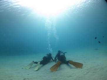 ドロップイン 沖縄に投稿された画像（2019/10/16）