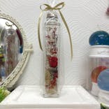 ずこうしつ〜sugamo〜に投稿された画像（2019/10/16）