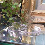 impera accessory（インペラアクセサリー）に投稿された画像（2019/10/16）