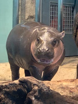 NIFREL（ニフレル）に投稿された画像（2019/10/16）