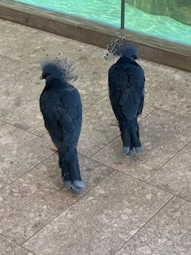 NIFREL（ニフレル）に投稿された画像（2019/10/16）