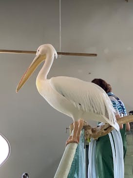 NIFREL（ニフレル）に投稿された画像（2019/10/16）