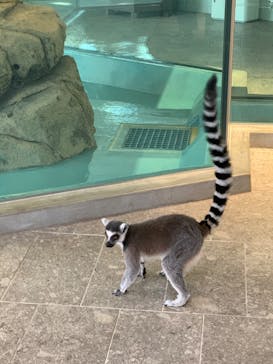 NIFREL（ニフレル）に投稿された画像（2019/10/16）