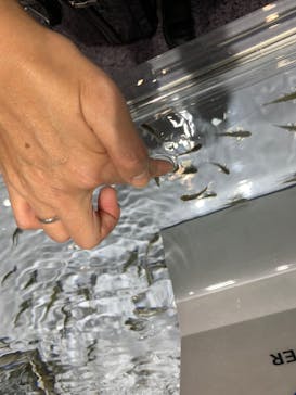 NIFREL（ニフレル）に投稿された画像（2019/10/16）