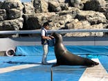 大分マリーンパレス水族館 「うみたまご」に投稿された画像（2019/10/17）
