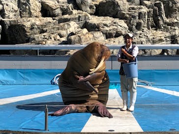 大分マリーンパレス水族館 「うみたまご」に投稿された画像（2019/10/17）