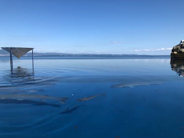 大分マリーンパレス水族館 「うみたまご」に投稿された画像（2019/10/17）