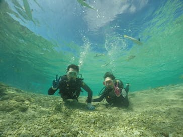 武藤潜水に投稿された画像（2019/10/17）