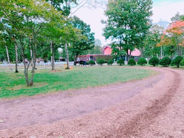 ノーザンホースパークに投稿された画像（2019/10/17）